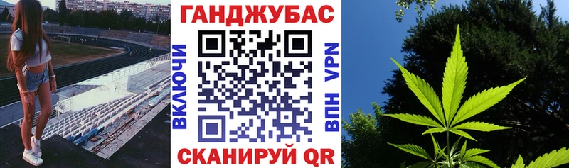 Марихуана планчик  купить закладку  mega ONION  Эртиль 